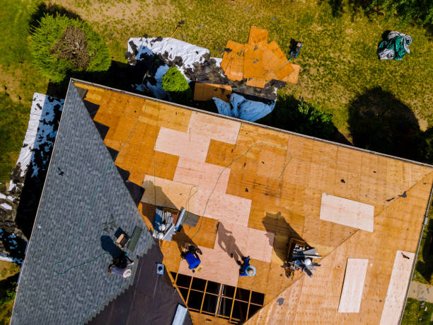 Best Gutter Installation and Roofing  in Pinetops, NC