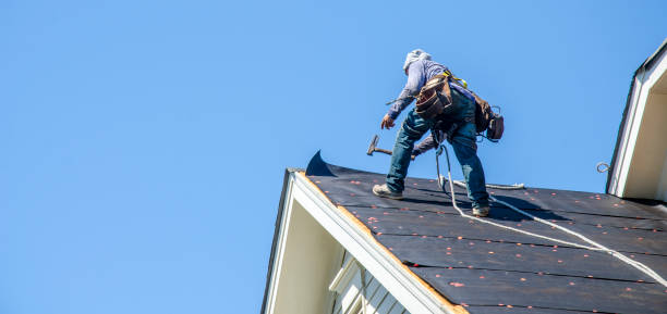 Best Metal Roofing Contractor  in Pinetops, NC